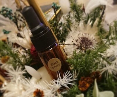 ブラックペッパー