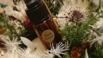 ブラックペッパー